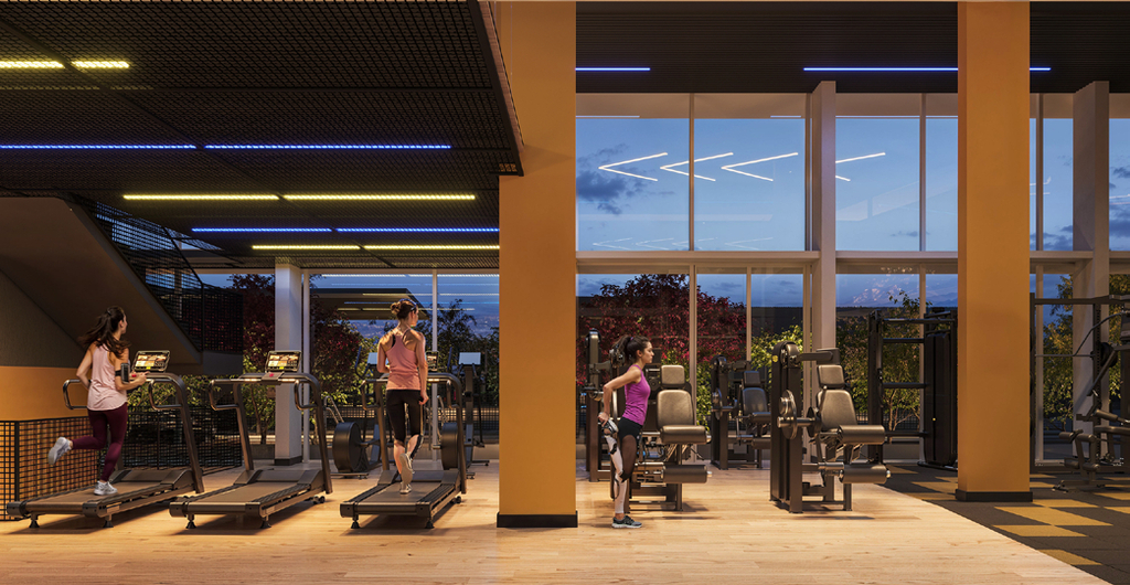Fitness