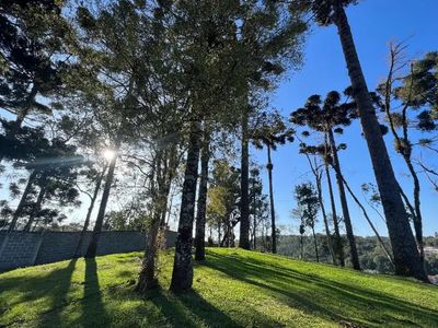 250 jardim