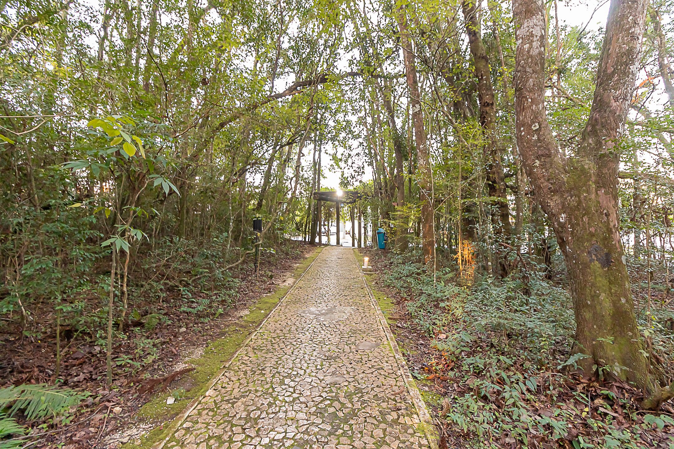 Foto 45
